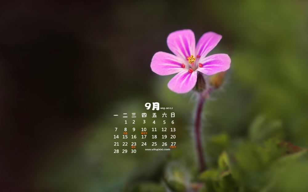 2015年9月日历唯美清新花卉电脑桌面壁纸图片2下载