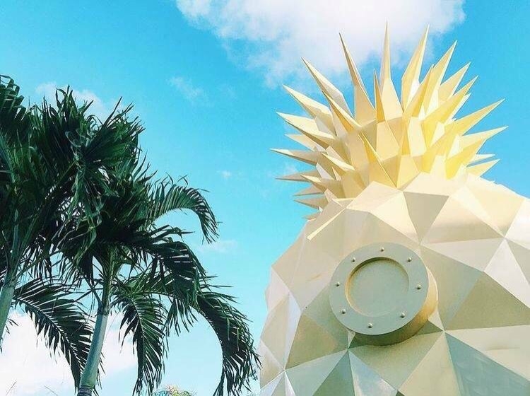 海绵宝宝有个家