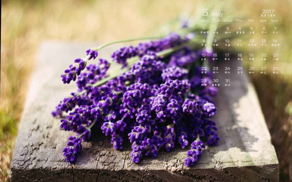 2017年5月唯美的薰衣草桌面日历壁纸
