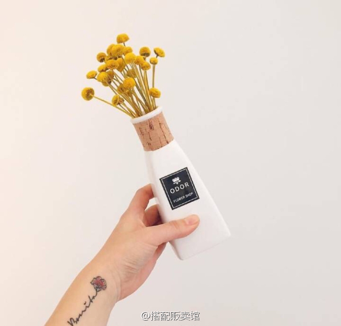 让人眼前一亮的小花瓶摆设 ​​​ ​​​​