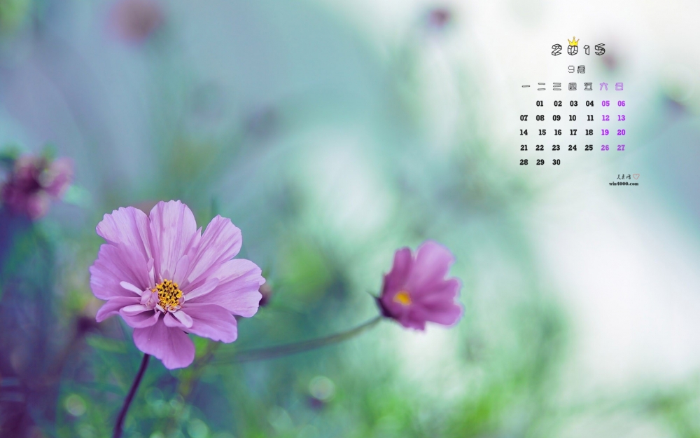 2015年9月日历唯美花海桌面壁纸图片下载7