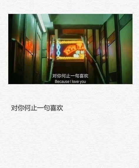 该放弃的东西就别拖泥带水