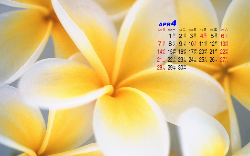 2013年4月日历桌面壁纸之春天美丽的花朵