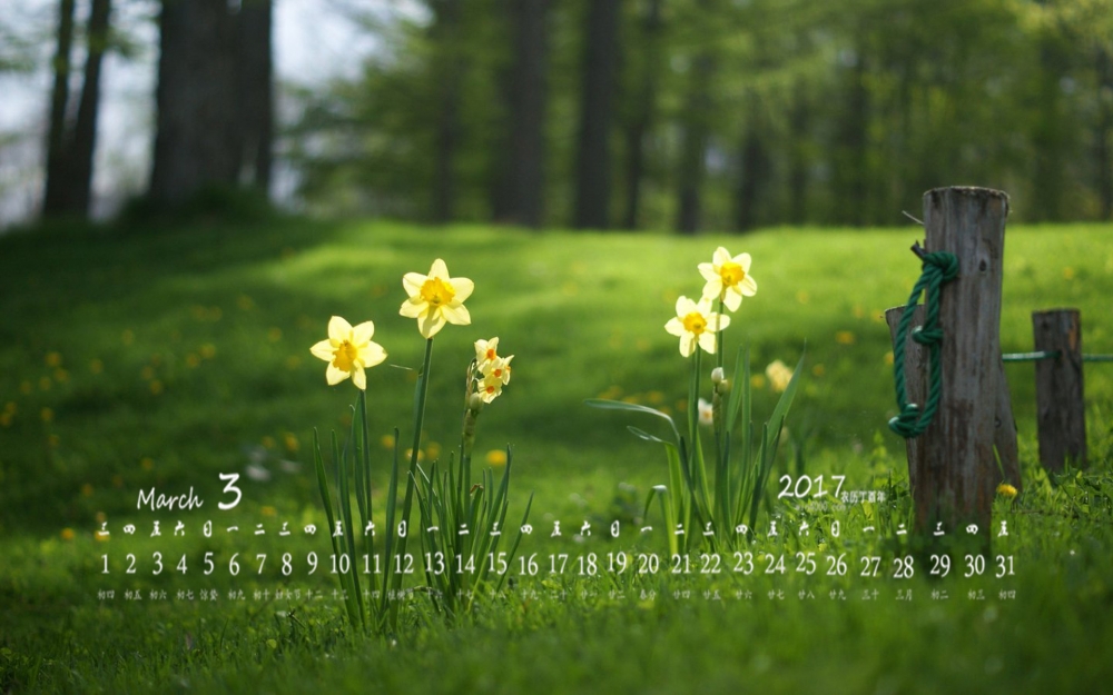 2017年3月唯美清新风景高清桌面日历壁纸