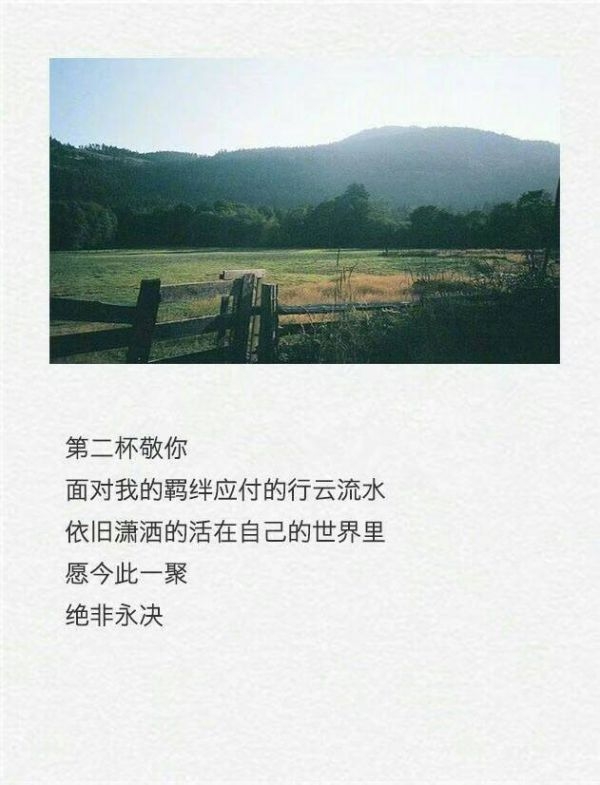 我有孤独和烈酒，怕你不愿跟我走。