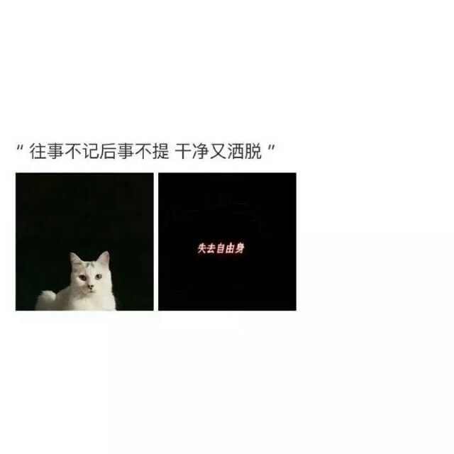 想要拥有 又渴望自由.