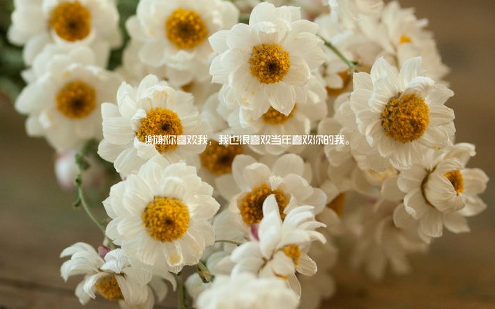 小清新感恩节文字电脑壁纸