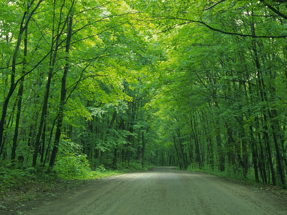 道路 第二辑