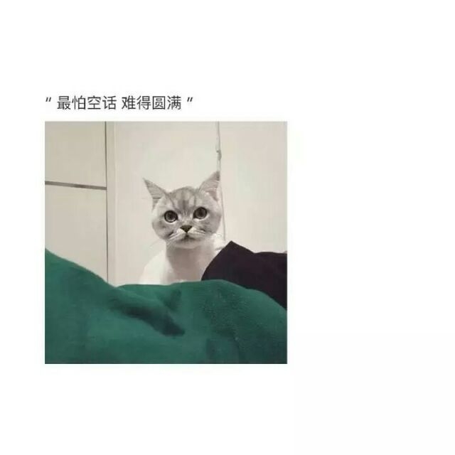 想要拥有 又渴望自由.
