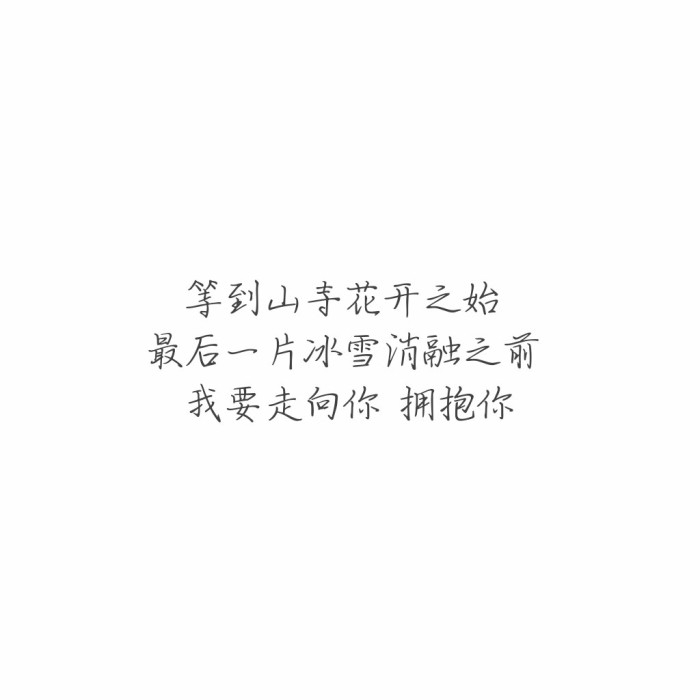 诺桐：关于我们♡