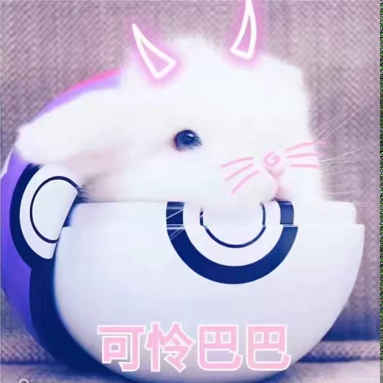 我快是一只废兔兔了