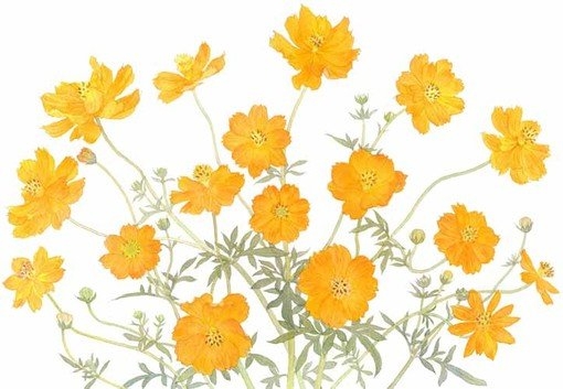 插画ものぐさ気まぐれ絵日記·