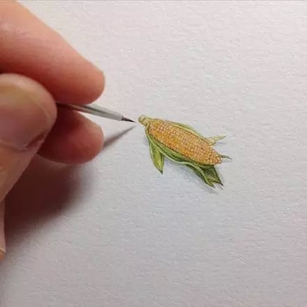 日常小画，小小的铅笔淡彩