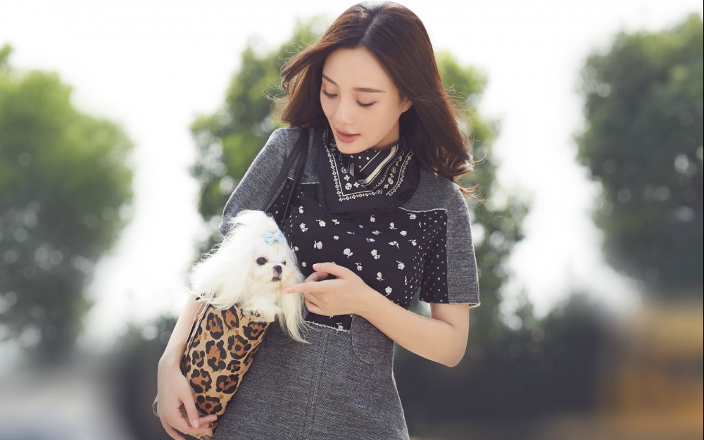 李小璐电脑壁纸