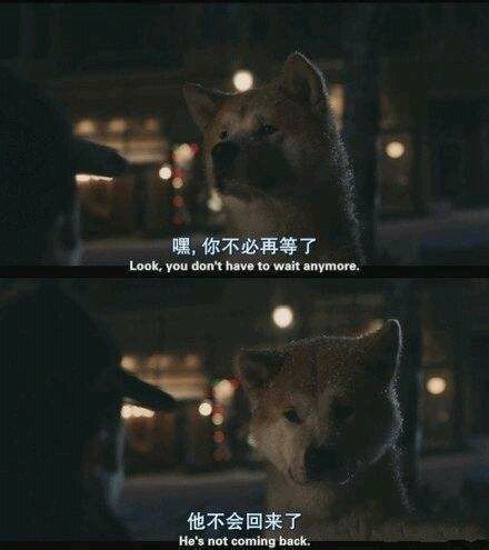 孤我 晴欧巴 电影