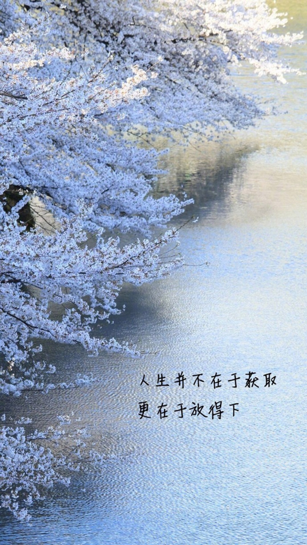 精选文字语录创意图片手机壁纸