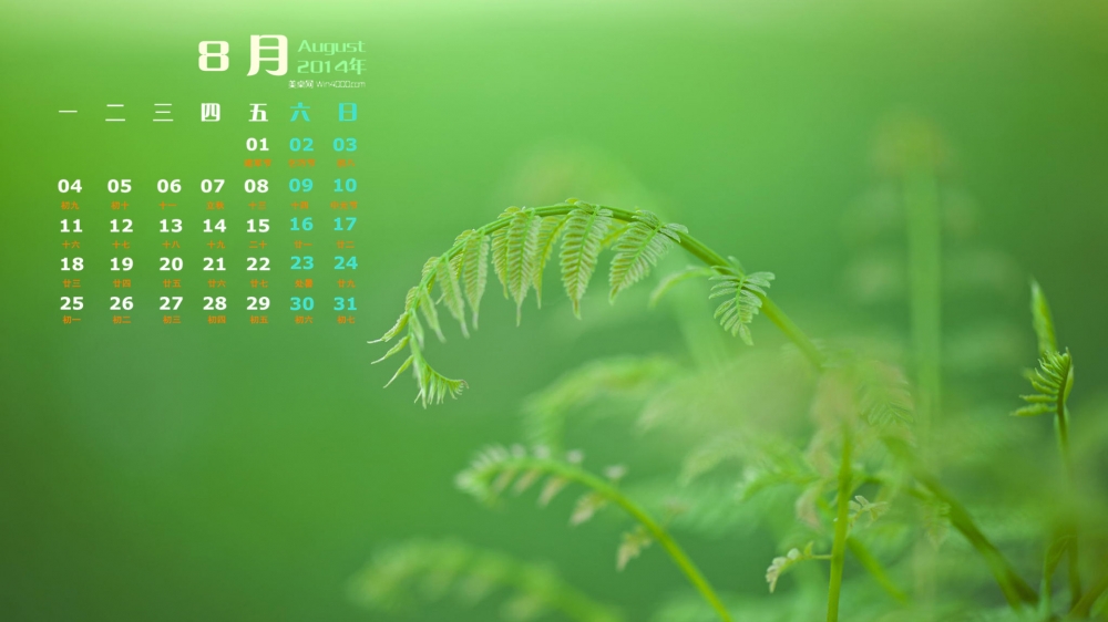 2014年8月日历绿色养眼植物高清开机电脑桌面壁纸