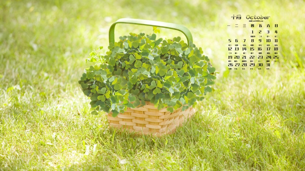 2015年10月日历精选小清新护眼植物高清桌面壁纸下载
