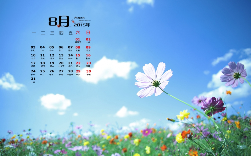 2015年8月日历精选清凉的花朵桌面壁纸图片下载