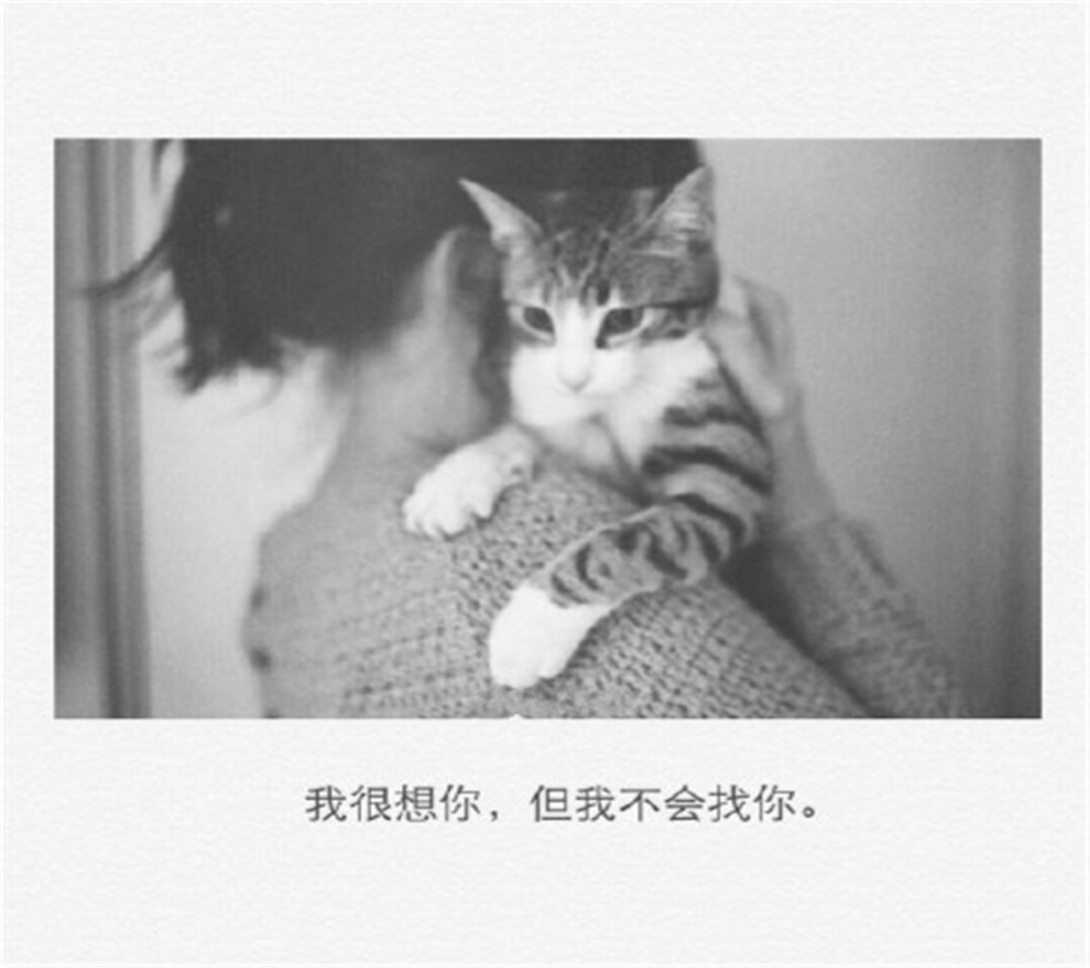唯美个性非主流伤感文字高清手机桌面壁纸下载
