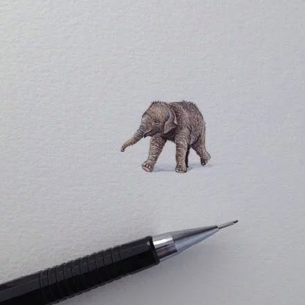 日常小画，小小的铅笔淡彩