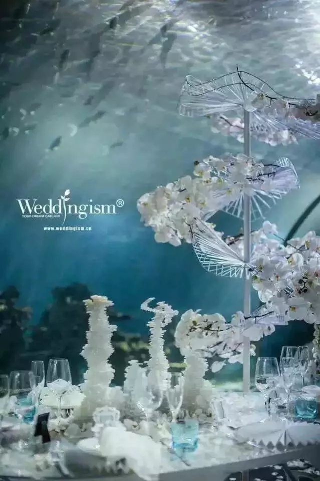 水下婚礼你值得拥有