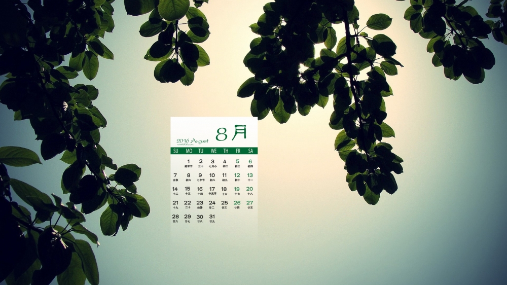 2016年8月日历风景植物电脑壁纸