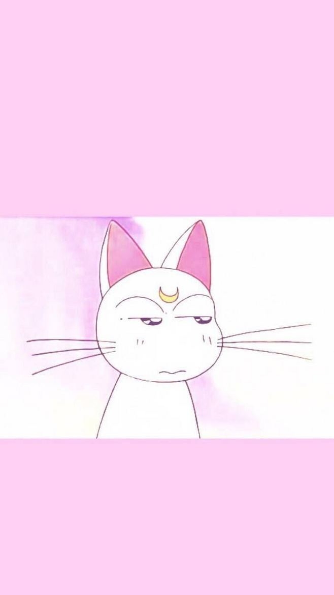 一大波粉红正在涌来