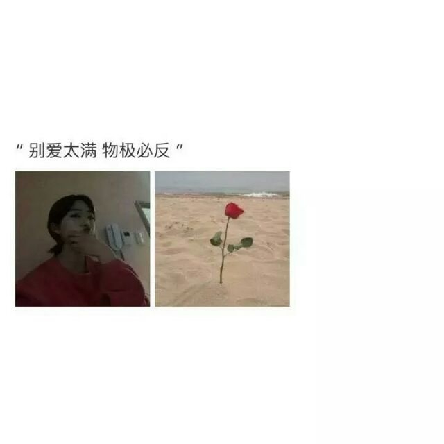 想要拥有 又渴望自由.