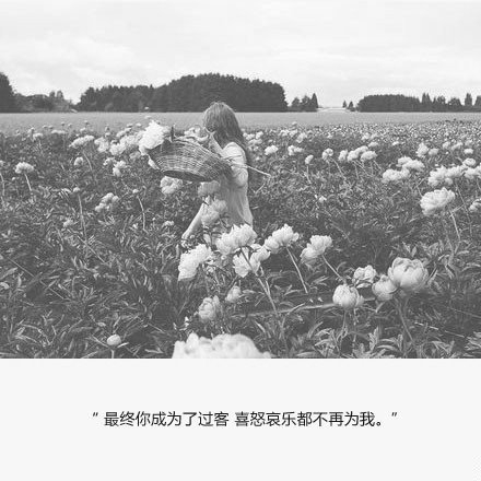 不希望你被太多人喜欢，我喜欢就好