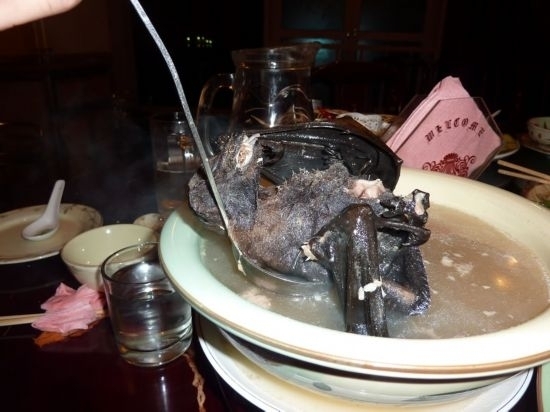 你敢吃吗 全球20大最惊悚美食