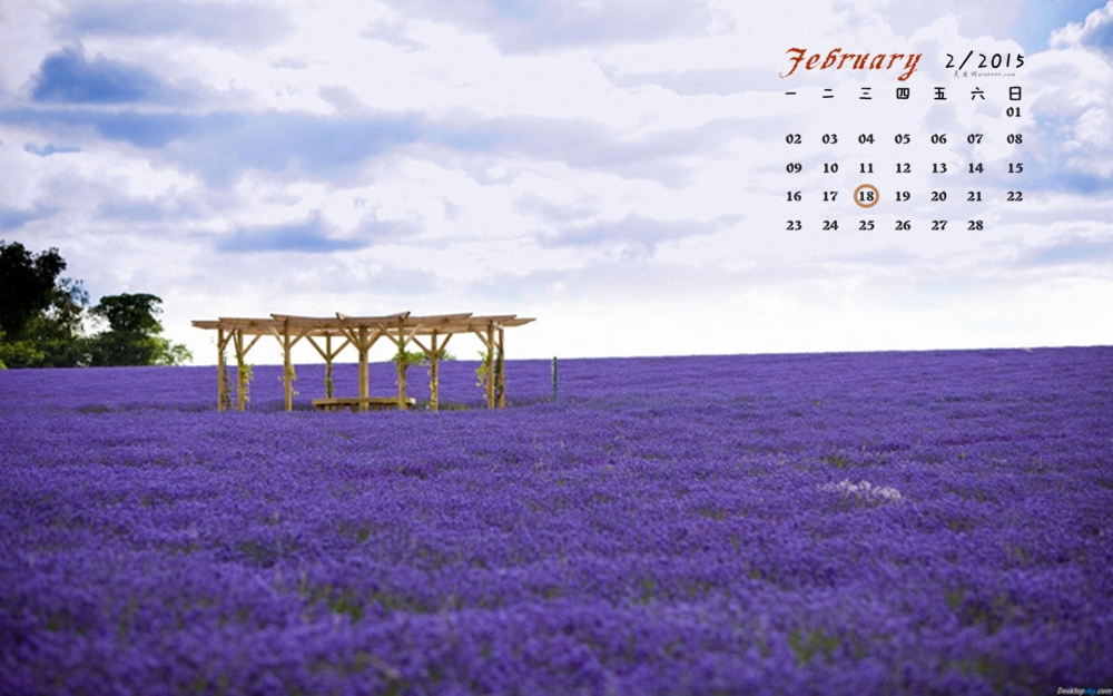 2015年2月日历甜蜜浪漫的薰衣草芳香植物屏保电脑桌面壁纸