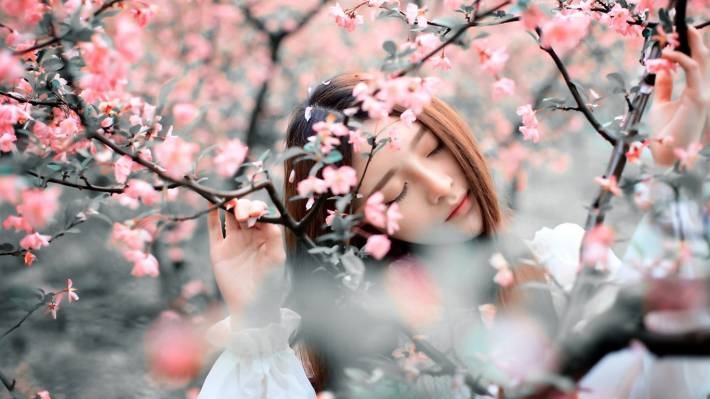 气质美女唯美樱花摄影写真win10壁纸
