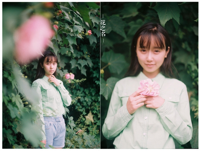 以花之名，与花为伴