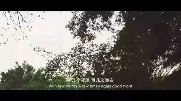 匆匆那年的我们，究竟说了几遍