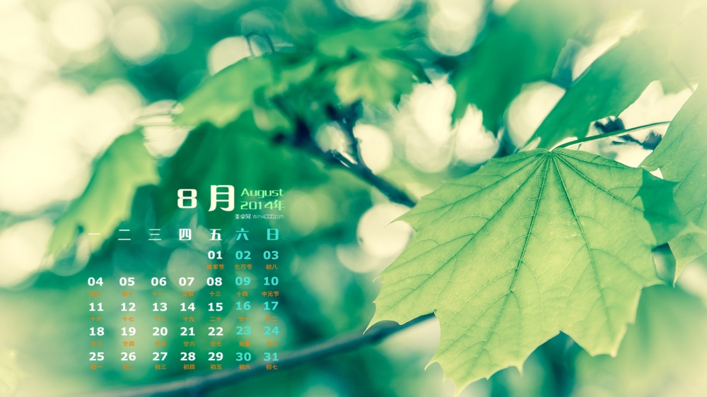 2014年8月日历绿色养眼植物高清开机电脑桌面壁纸