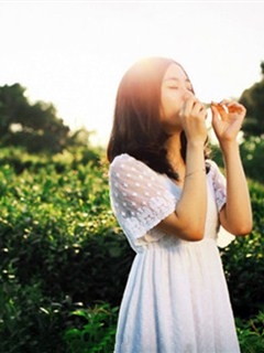 唯美美女背景绿色护眼手机壁纸