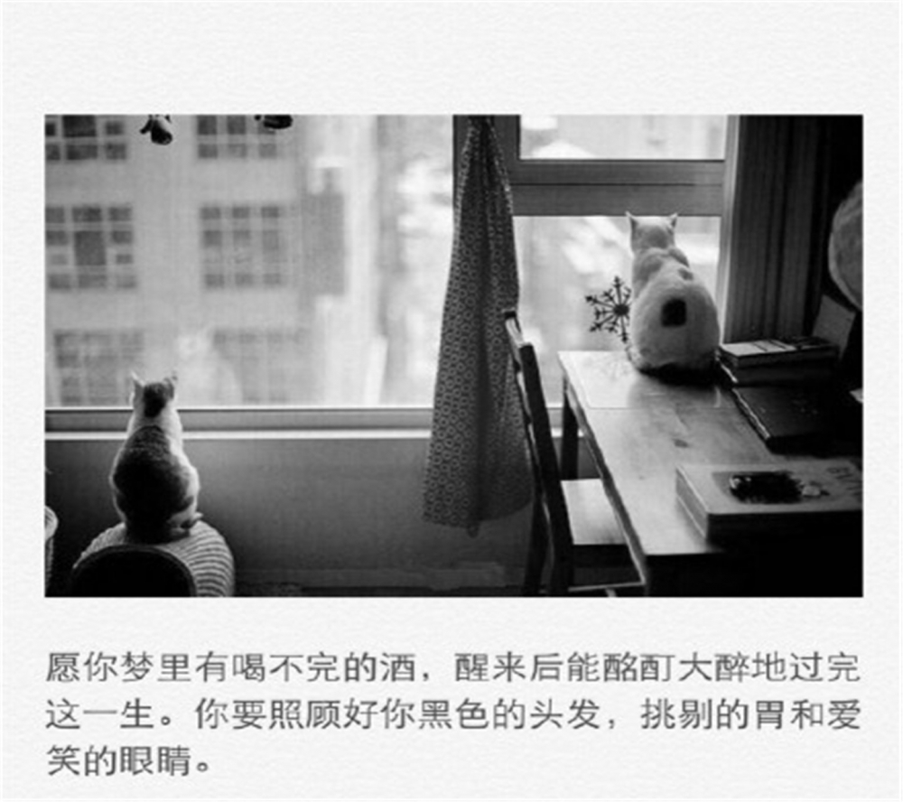 唯美个性非主流伤感文字高清手机桌面壁纸下载