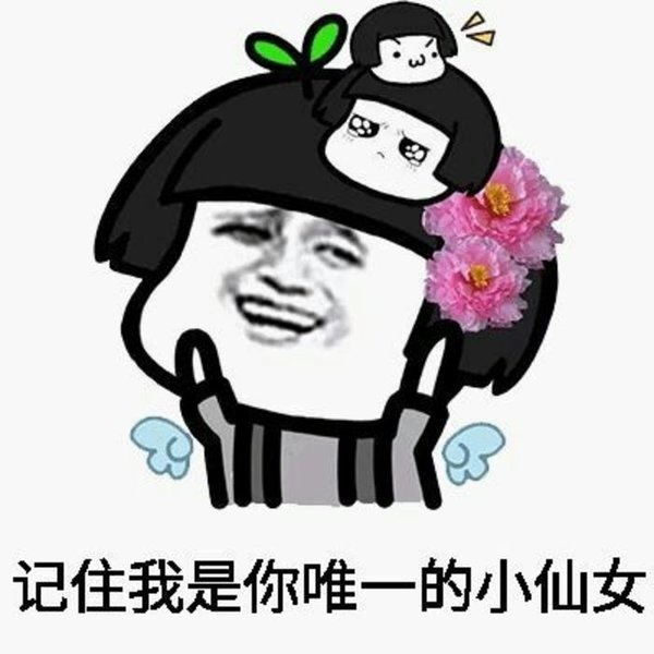 我是小仙女，嘿嘿