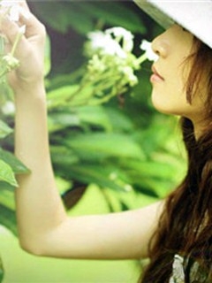 唯美美女背景绿色护眼手机壁纸