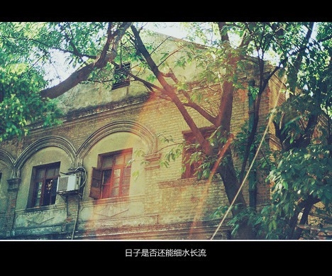 那些我没来得及说出的话 治愈系小清新意境带字图片