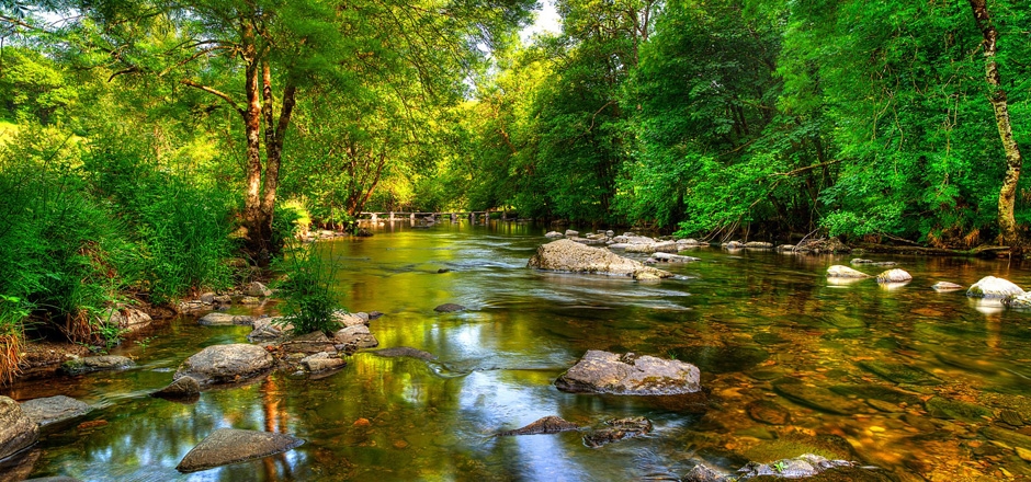 埃克斯穆尔，自然，森林，湖泊，河水，岩石，树木，绿色风景壁纸