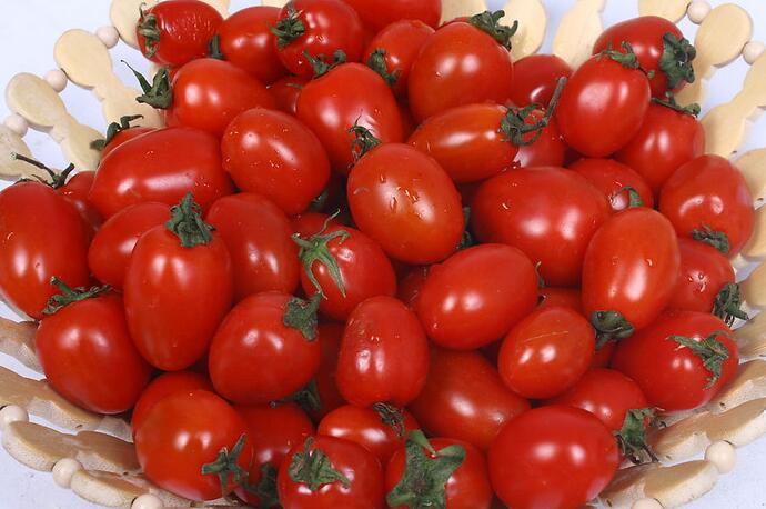 新鲜小西红柿图片