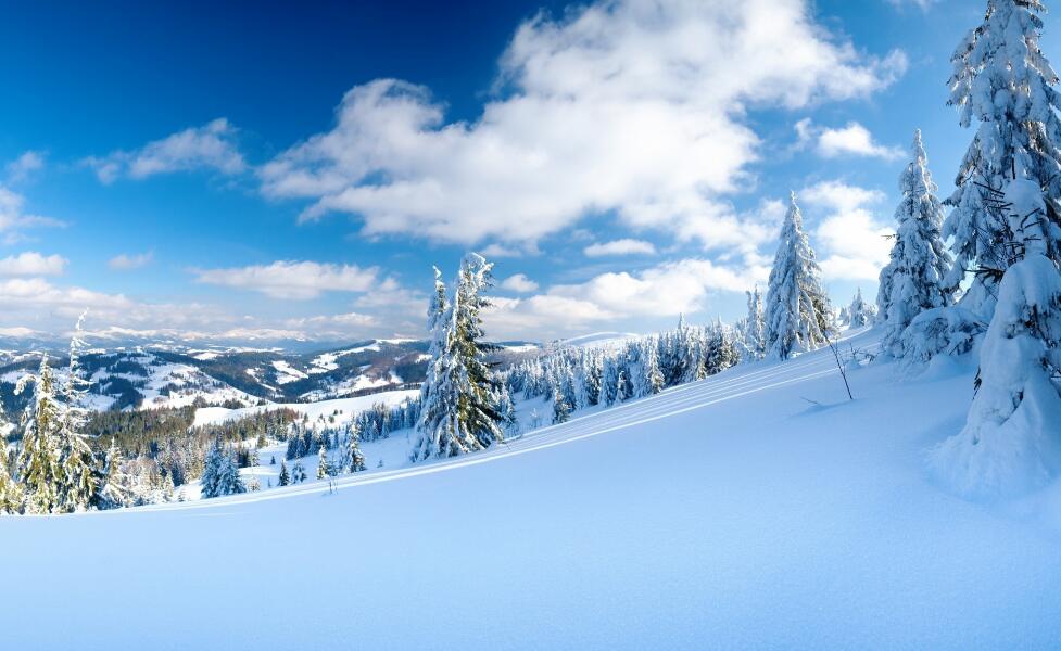 唯美雪景照片电脑壁纸下载