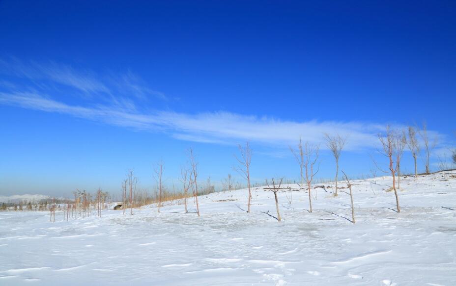 冬日雪景自然风景电脑桌面