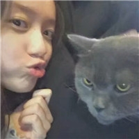 个性时尚抱猫美女qq头像