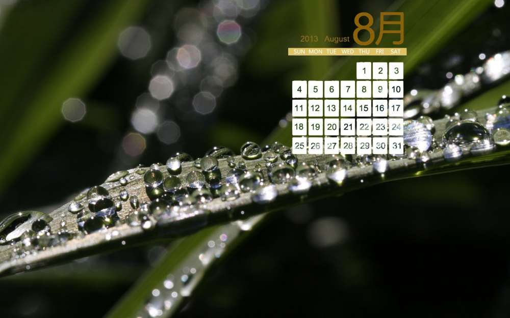 2013年8月日历桌面壁纸之植物景色