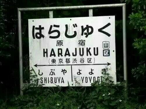 套路心