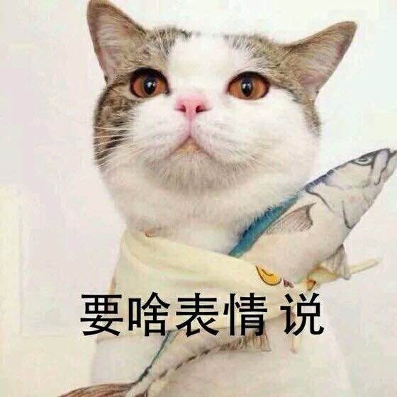超可爱小喵咪表情图