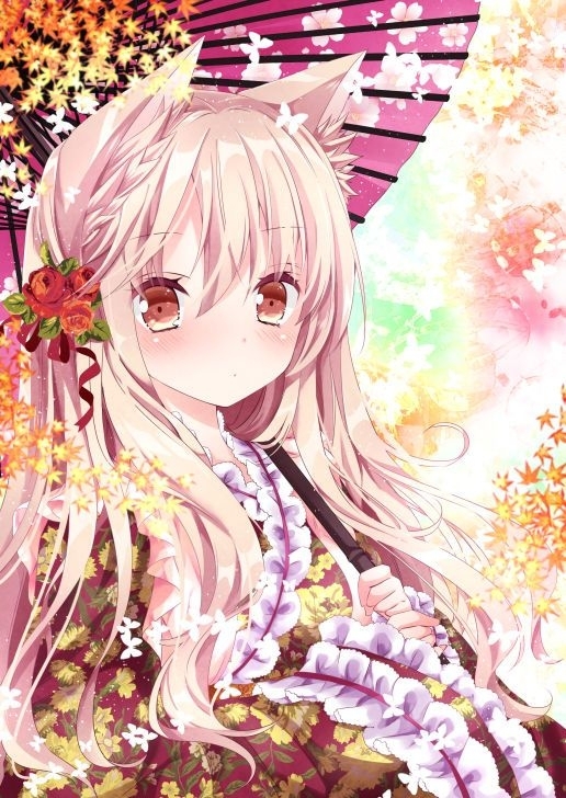 喵~